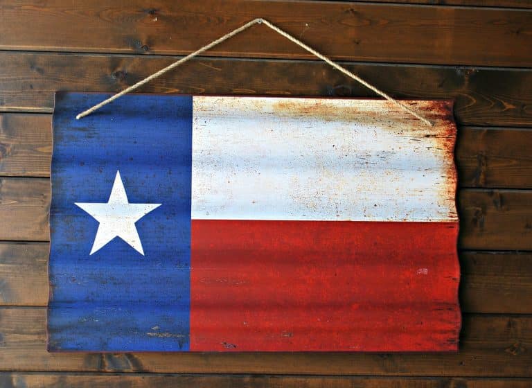 What is Conservatorship Under Texas Law