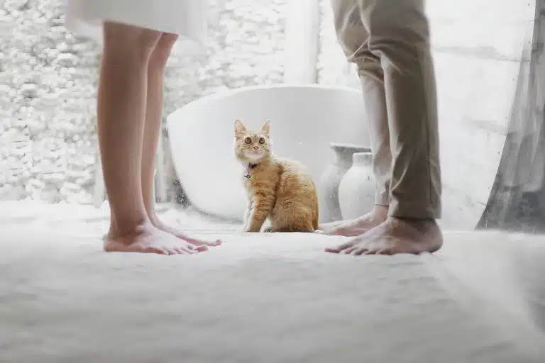 Your spouse wants a divorce