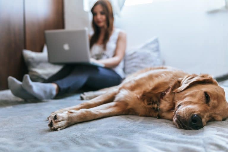 working from home