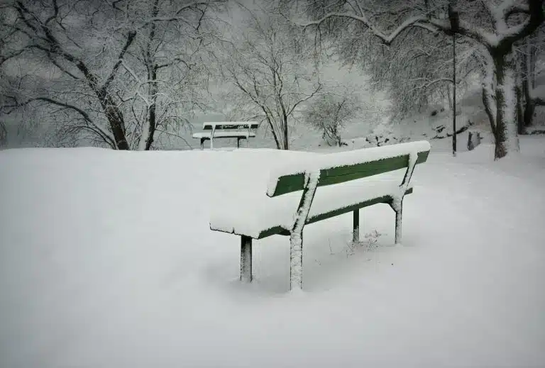 2021 Texas Winter Storm