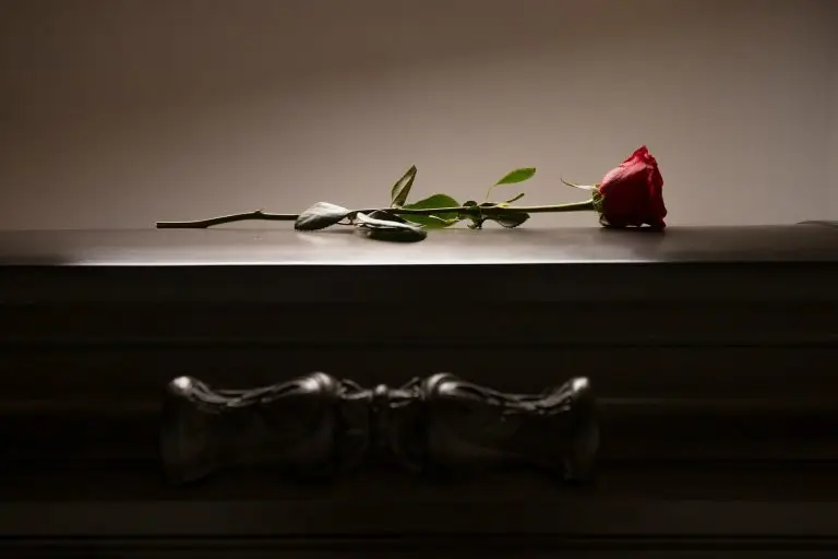 Spouse Passed Away During Our Divorce